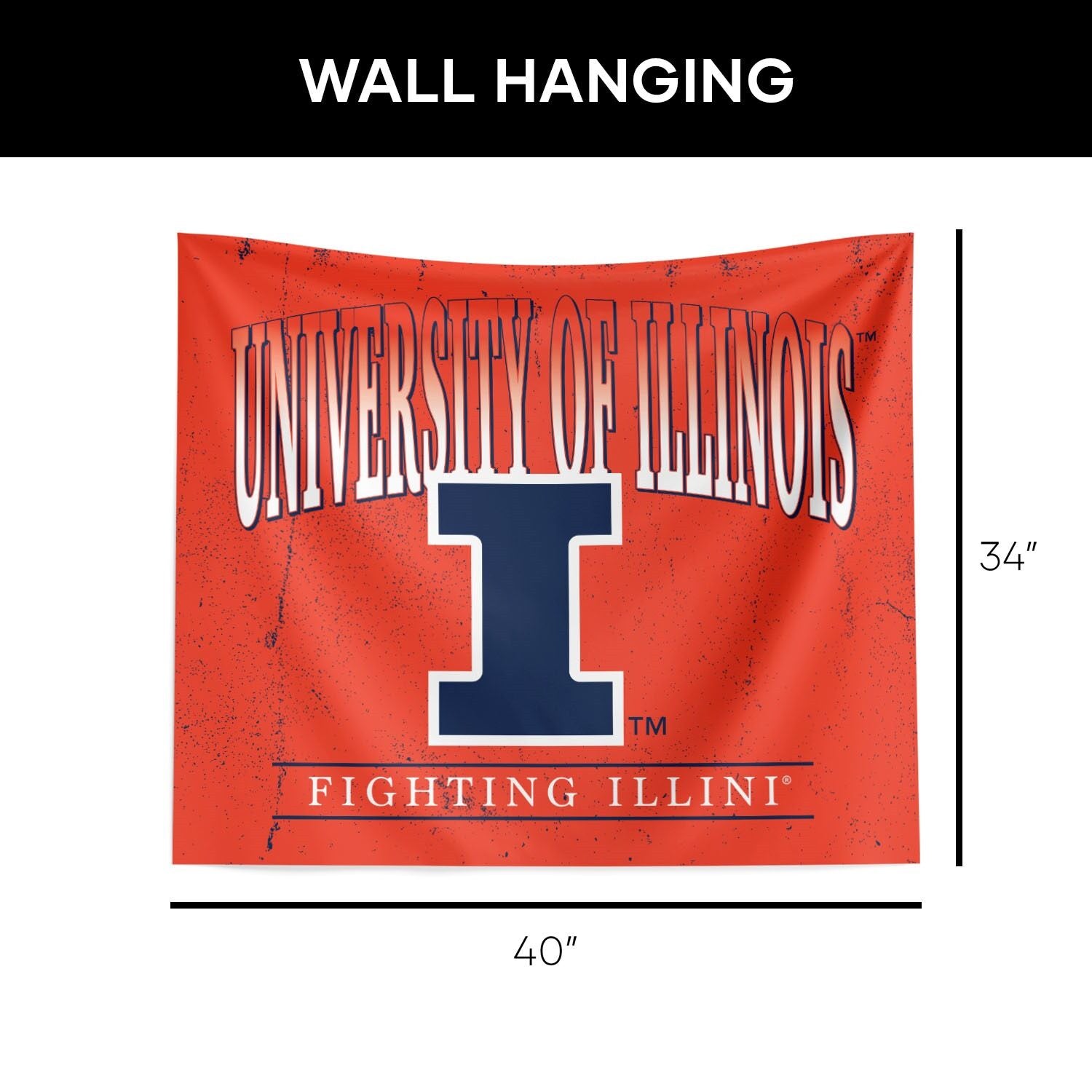 Illinois Fighting Illini Hanging Wall Decor