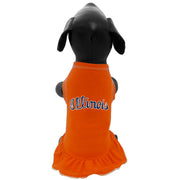 Fighting Illini Pet Cheer Dress