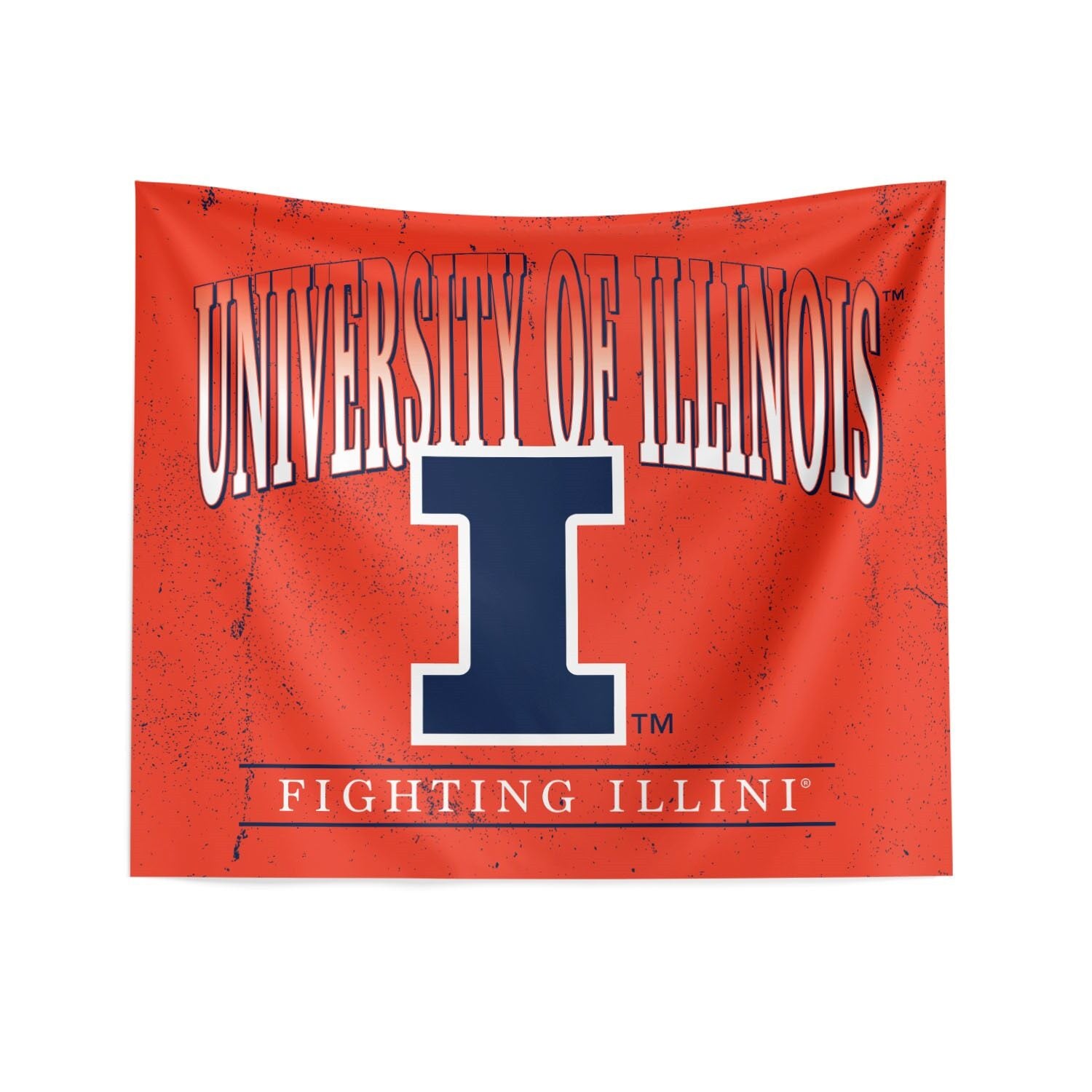 Illinois Fighting Illini Hanging Wall Decor