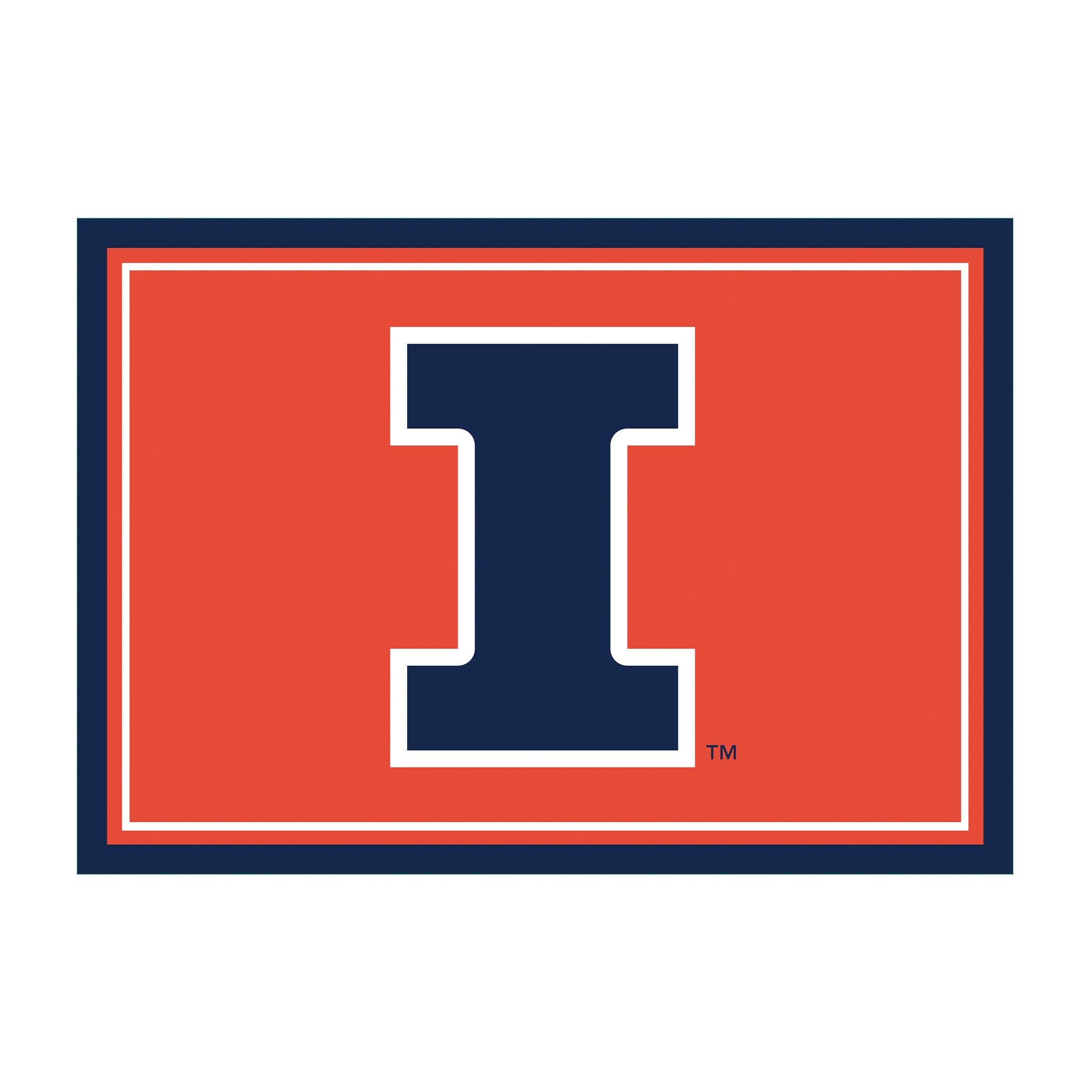 University of Illinois 6x8 Spirit Rug