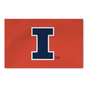 Illinois Fighting Illini Small Rug