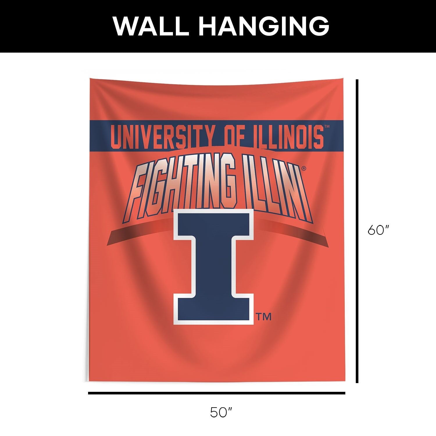 Illinois Fighting Illini Hanging Wall Decor