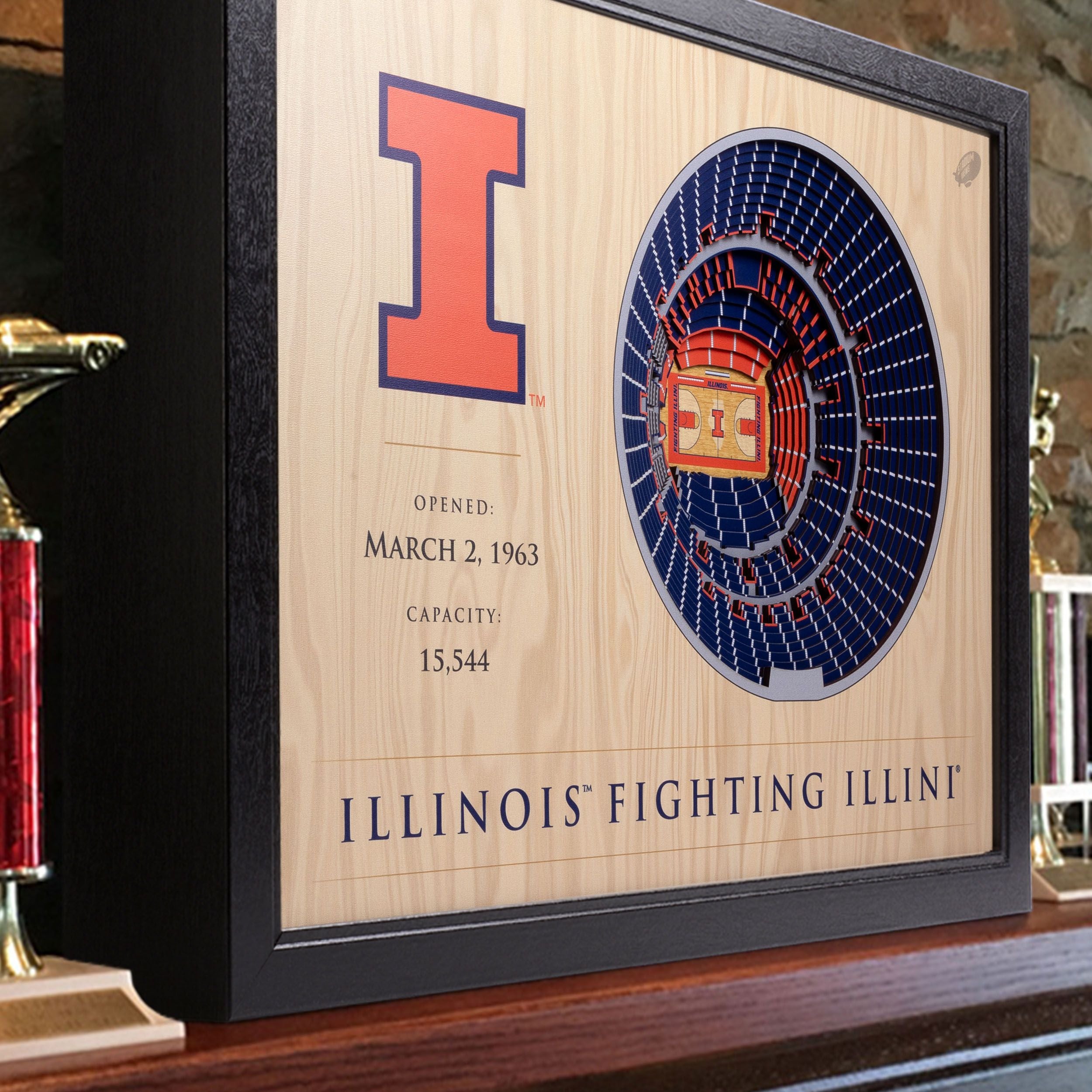 Illinois Fighting Illini 25-Layer Stadium view Wall art