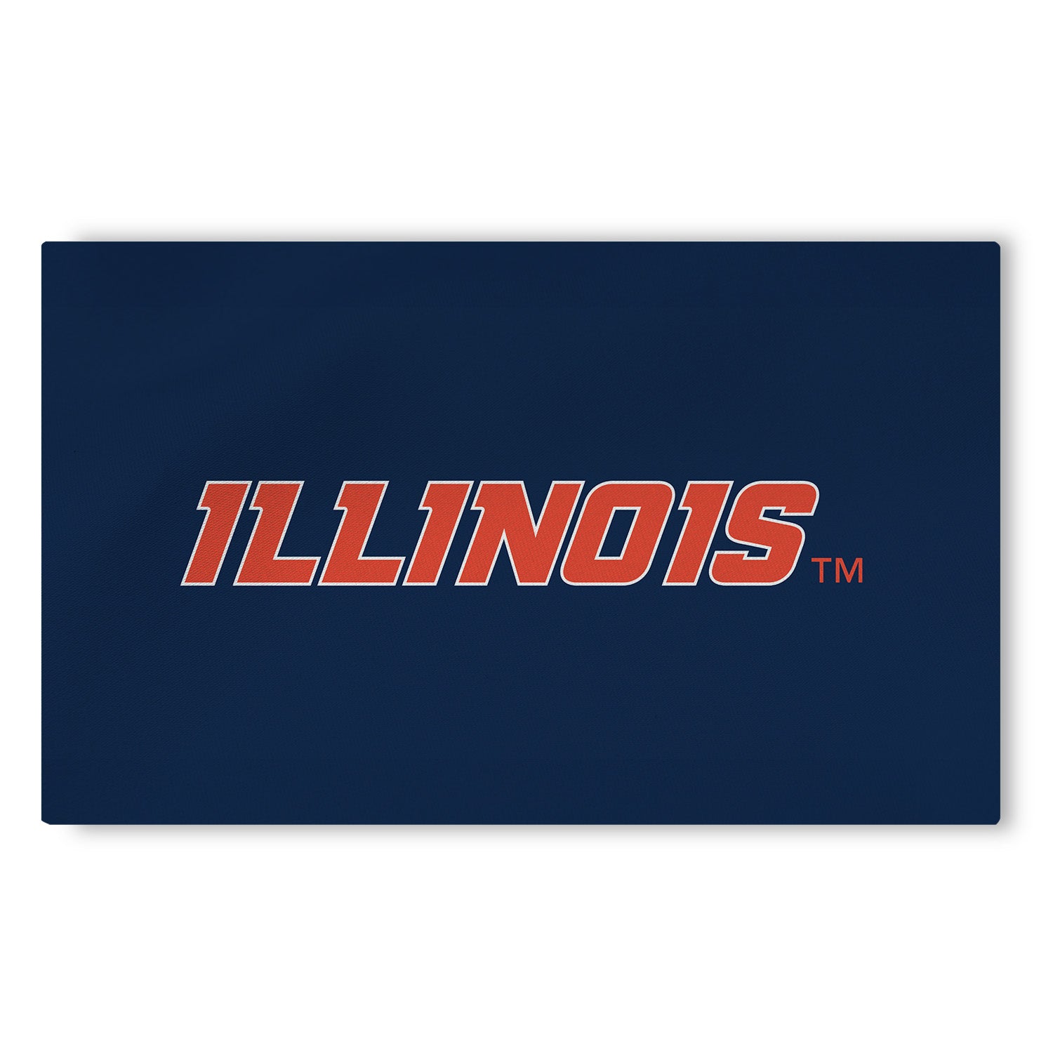 Illinois Fighting Illini Medium Rug