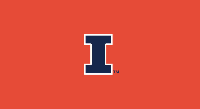 University of Illinois 8' Pool Table Cloth