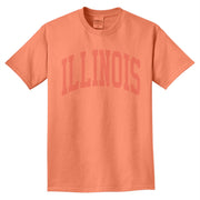 Illinois T-Shirt Orange Tonal Arch
