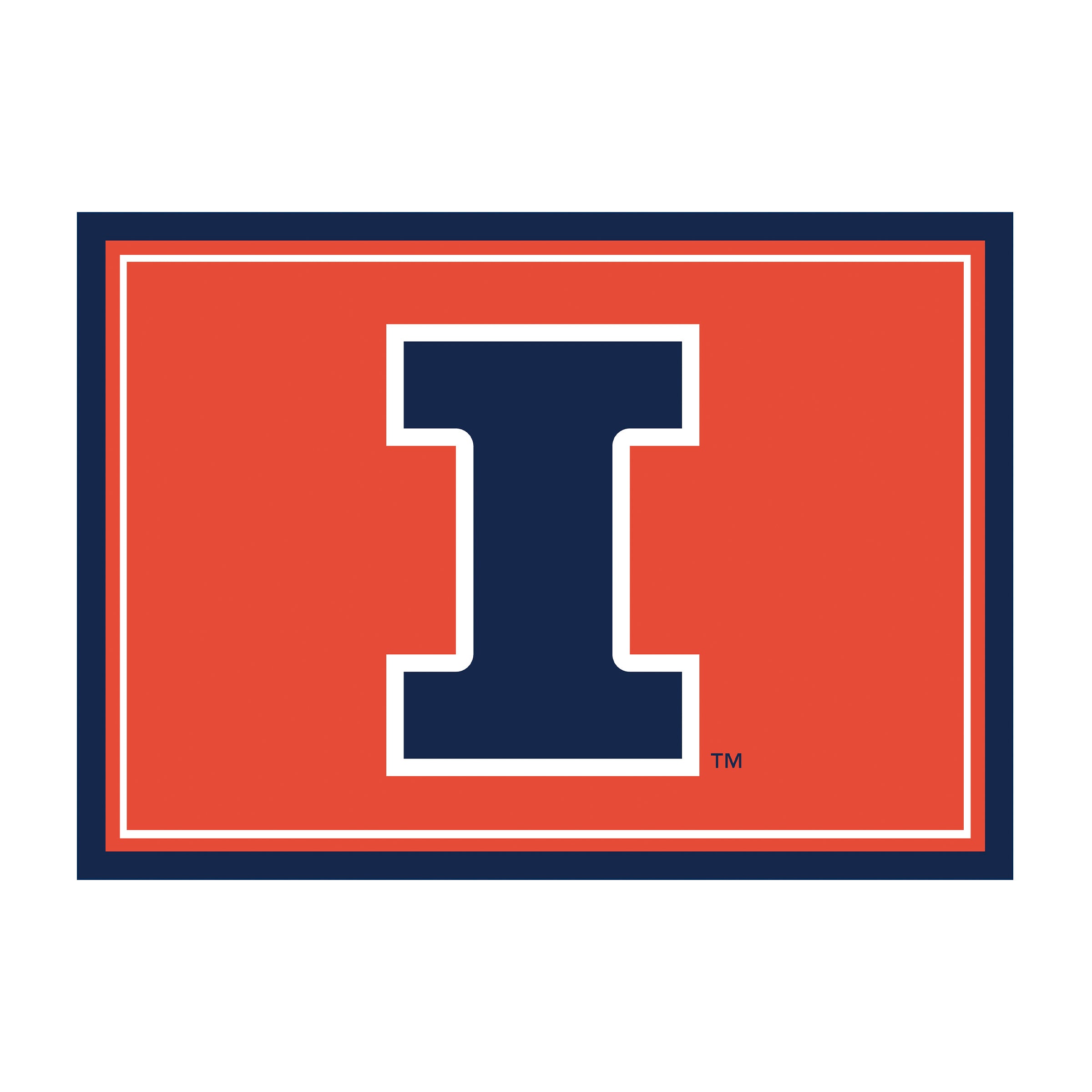 University of Illinois 4x6 Spirit Rug