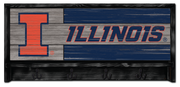Illinois Fighting Illini Wordmark Coat Rack