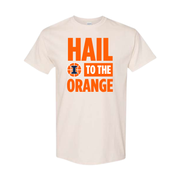 Illinois Basketball Hail to the Orange Tee