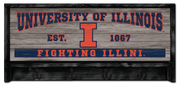 Illinois Fighting Illini Est. 1867 Wooden Coat Rack