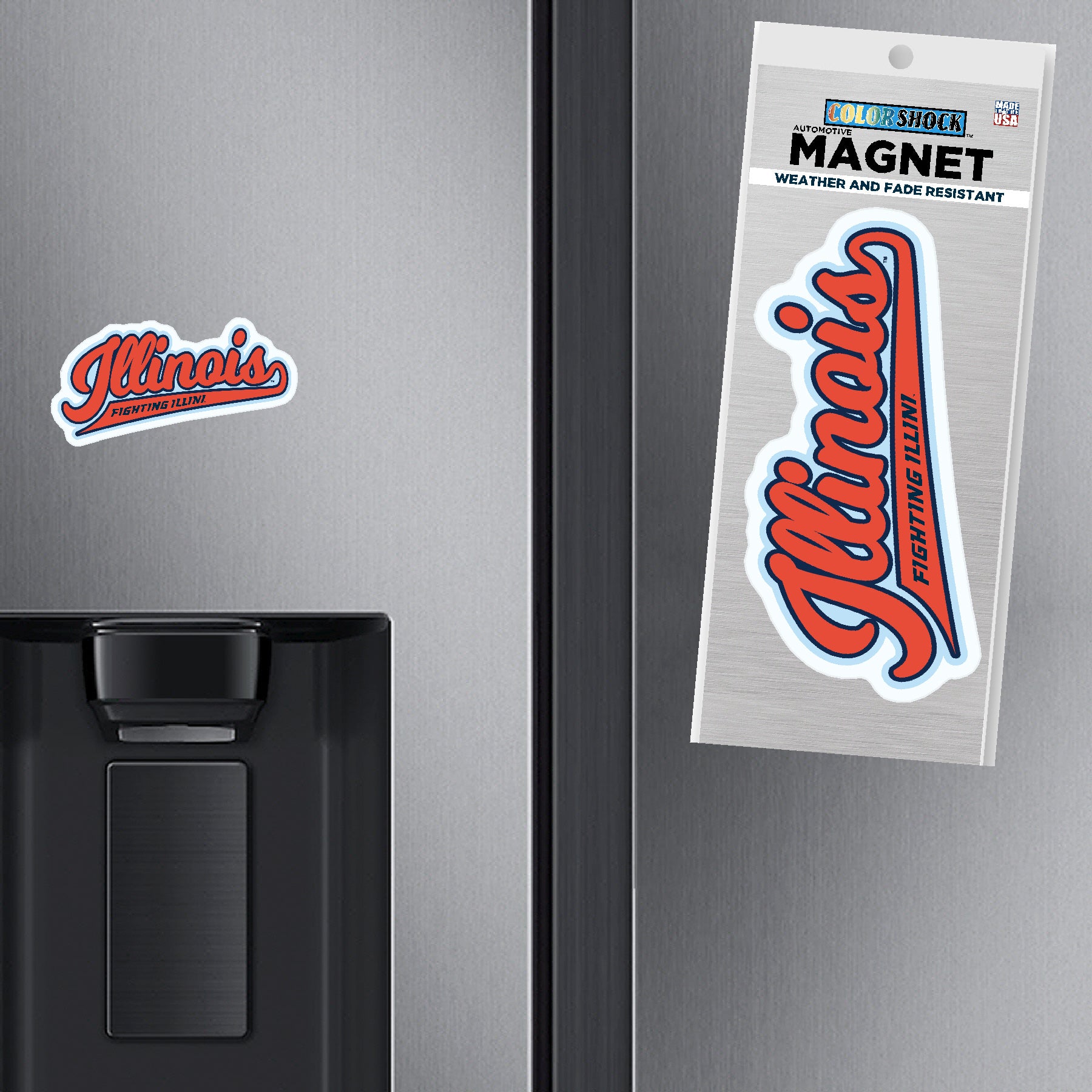 Illinois Magnet Orange/Blue Script